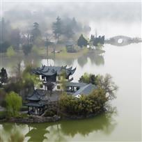 《春风关不住》