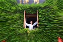 无限靓丽出窗来