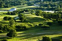 东风吹水绿参差