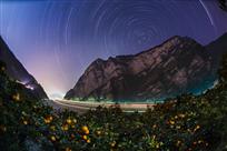 三峡星夜橙飘香