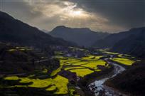 远安龙泉村春色