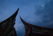月下情