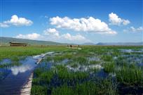 《尕海之夏》