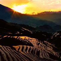 《旭日东升耀龙脊》