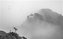 迷雾仙山