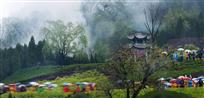 烟雨太行