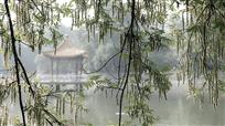 湖心亭