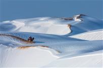 莽原踏雪