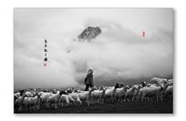 高原牧羊图