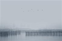 《生态湿地》