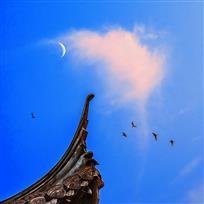 日月同辉倦鸟归