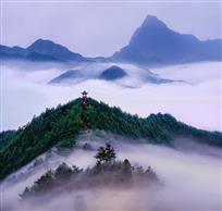 空山鸟飞尽，孤径情侣踪