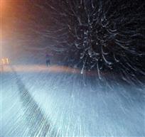 风雪夜归人