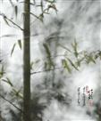 竹韵