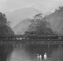 青山绿水