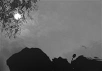 【组图】荷之梦