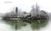 雪染冬园