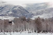 高原雪