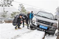 雪中情