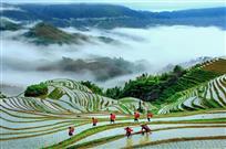 春至瑶寨