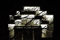 夜色