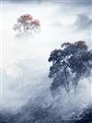 山居秋色