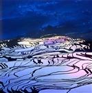 《梯田之晨》