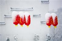 听雪