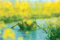 花海泛舟