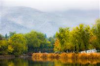 瑞雪染层林组图