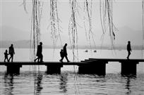 《春天的脚步》