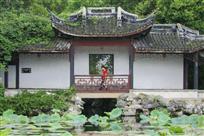 《佳人入画来》