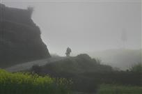 《晨》