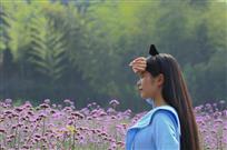 《花开季节》