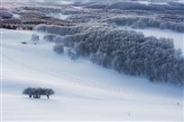 冬雪