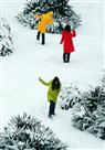 雪中舞蹈