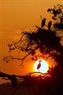 《守望夕阳》