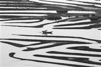 《渔歌》