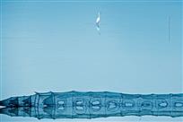 《构成》——林森&nbsp;摄