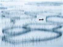 《海上围网》——林森&nbsp;摄