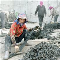 渔家渔事——刘建宏&nbsp;摄