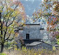 春晖——张鹤岩&nbsp;摄