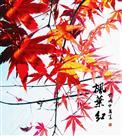 《枫叶红》