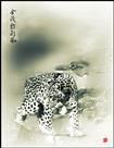 《金钱豹雄风》