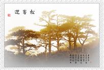 《迎客松》