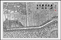 《竹林人家》
