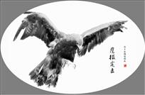 《鹰撮霆击》