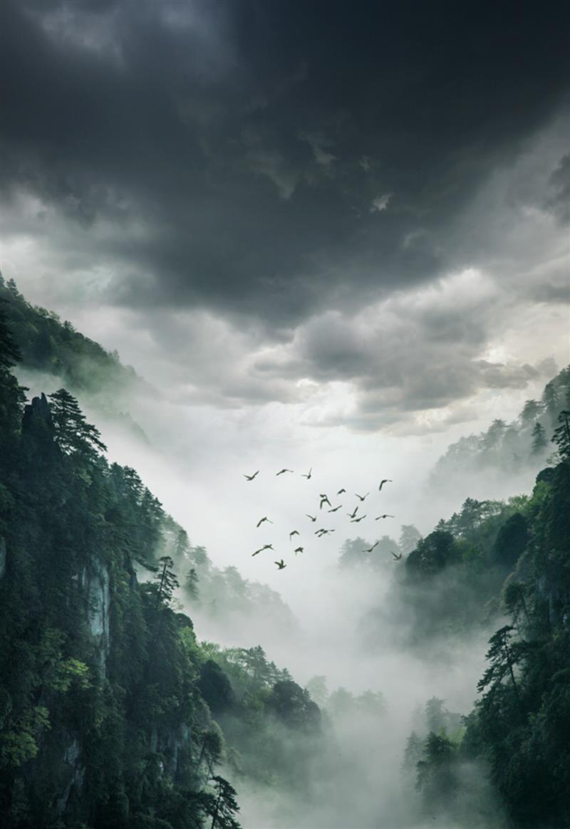 上一页 下一页 作品名称: 空山鸟语  作品描述:   拍摄地点: 江西