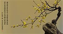 腊梅飘香