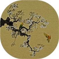 鸟语花香（组照）